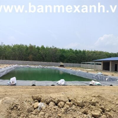 Thi công hồ HDPE trại chăn nuôi 2.400 heo nái