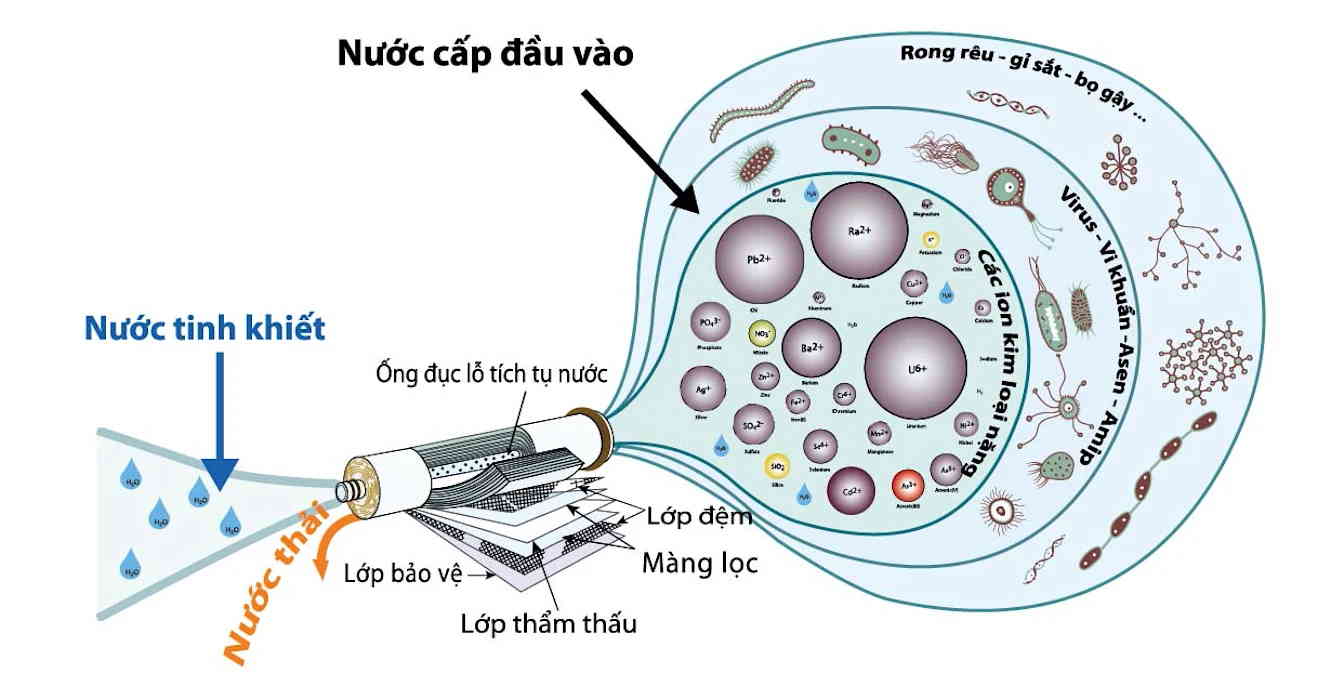 Ban Mê Xanh Cung Cấp Dịch Vụ Lắp Đặt Hệ Thống Xử Lý Nước Tinh Khiết RO Tại Đắk Lắk