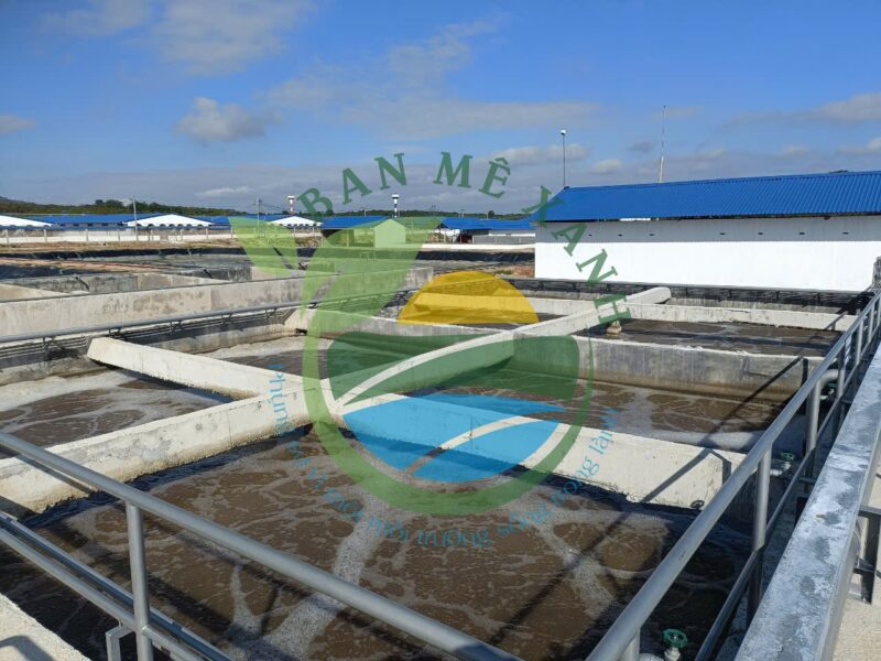 Hệ thống xử lý nước thải trang trại chăn nuôi 16.000 heo thịt, Công suất 350 m3/ngày đêm