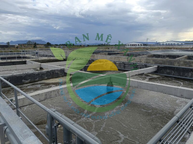 Hệ thống xử lý nước thải trang trại chăn nuôi 16.000 heo thịt, Công suất 350 m3/ngày đêm
