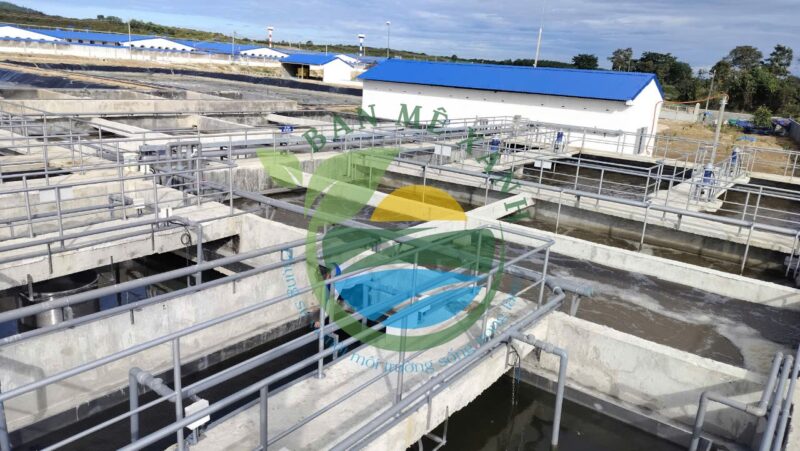 Hệ thống xử lý nước thải trang trại chăn nuôi 16.000 heo thịt, Công suất 350 m3/ngày đêm