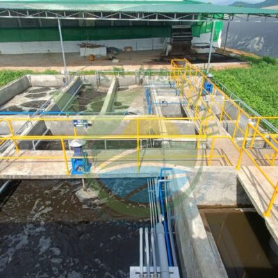 Hệ thống xử lý nước thải trang trại chăn nuôi heo thịt, Công suất 65 m3/ngày đêm
