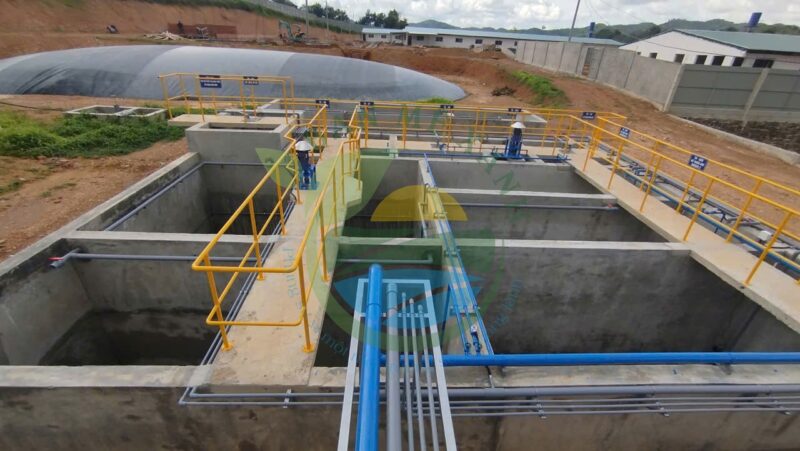Hệ thống xử lý nước thải trang trại chăn nuôi heo nái, Công suất 50 m3/ngày đêm