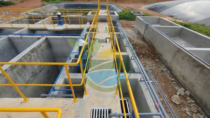 Hệ thống xử lý nước thải trang trại chăn nuôi heo nái, Công suất 50 m3/ngày đêm