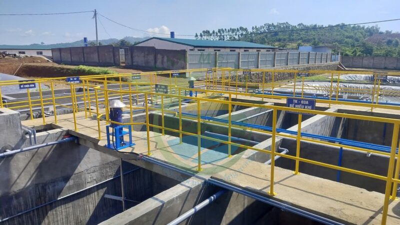 Hệ thống xử lý nước thải trang trại chăn nuôi heo nái, Công suất 50 m3/ngày đêm