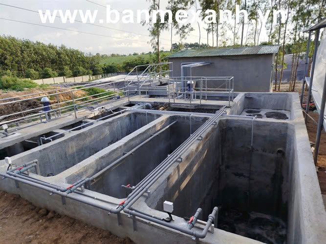 Dịch Vụ Xử Lý Nước Thải Chăn Nuôi – Cấp Thiết Không Thể Trì Hoãn