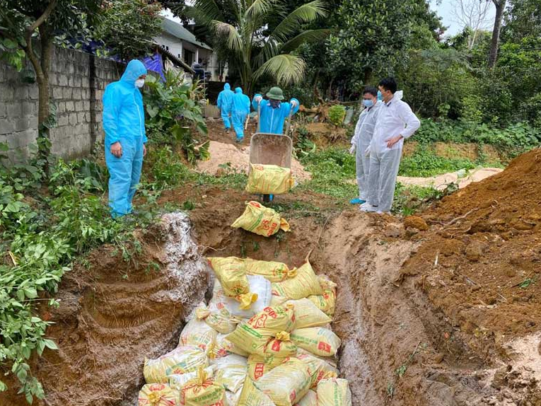 Giải Pháp Thu Gom Và Xử Lý Chất Thải Nguy Hại Đúng Chuẩn Nhất 2025