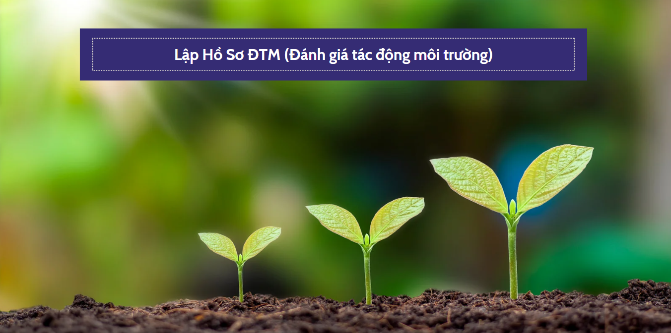 Làm Sao Biết Dự Án Của Bạn Có Bắt Buộc Lập ĐTM Không?