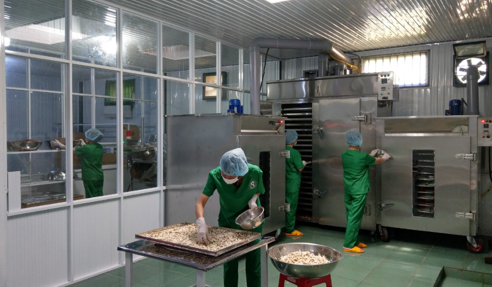 Làm Thế Nào Để Đảm Bảo Nước Cấp An Toàn Cho Nhà Máy?