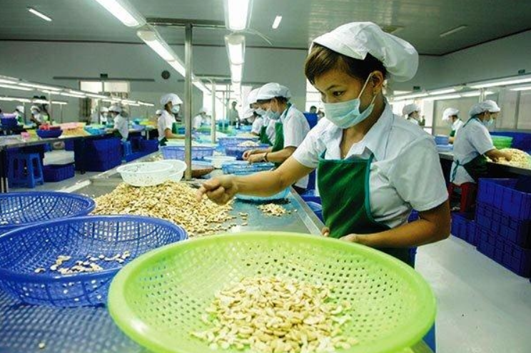 Muốn Nhà Máy Hoạt Động Lâu Dài? Xử Lý Nước Thải Là Bước Đầu Tiên!