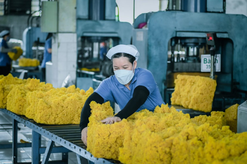 Trình Tự Phê Duyệt Hồ Sơ ĐTM – Hiểu Rõ Để Không Loay Hoay