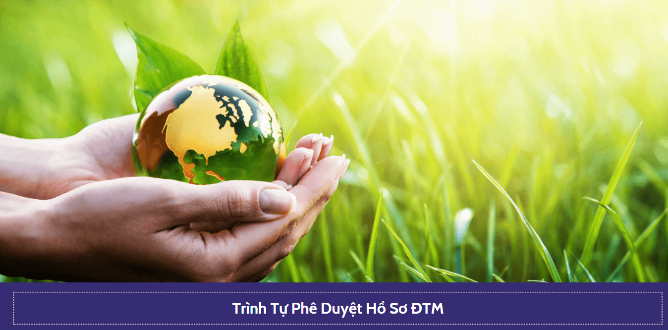 Trình Tự Phê Duyệt Hồ Sơ ĐTM – Hiểu Rõ Để Không Loay Hoay