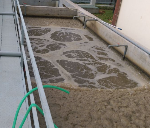 Vì Sao Nhiều Trang Trại ở Tây Nguyên Bị Phạt Do Nước Thải?
