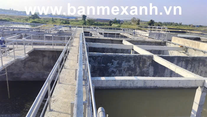 Ban Mê Xanh – Giải Pháp Xử Lý Nước Thải Trọn Gói Toàn Diện Cho Doanh Nghiệp