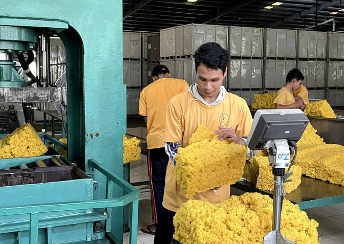 Cần Bao Nhiêu Chi Phí Để Lắp Đặt Hệ Thống Xử Lý Khí Thải?