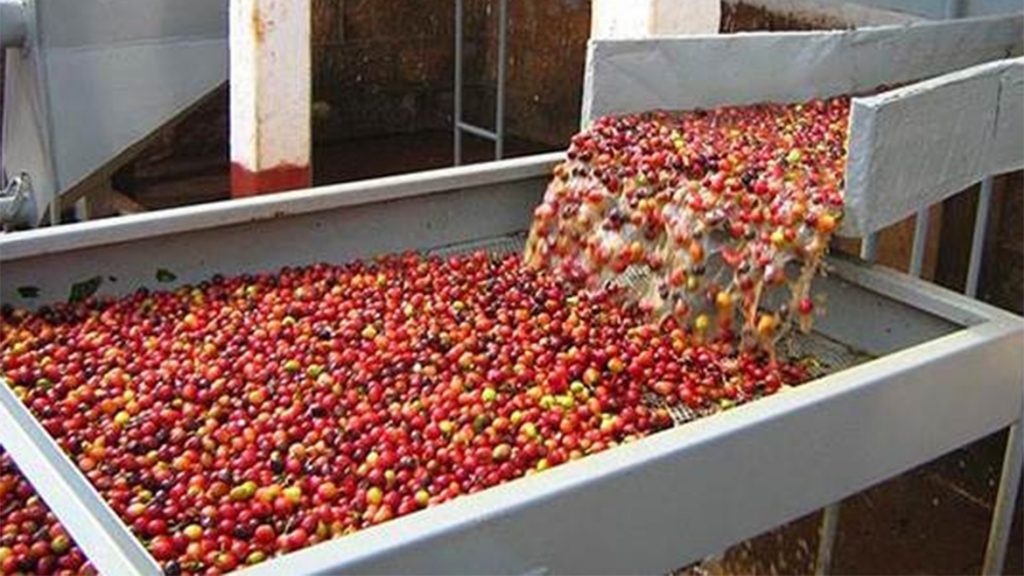 Lộ Trình Chuẩn Cho Xử Lý Nước Thải Trong Nhà Máy Vừa Và Nhỏ