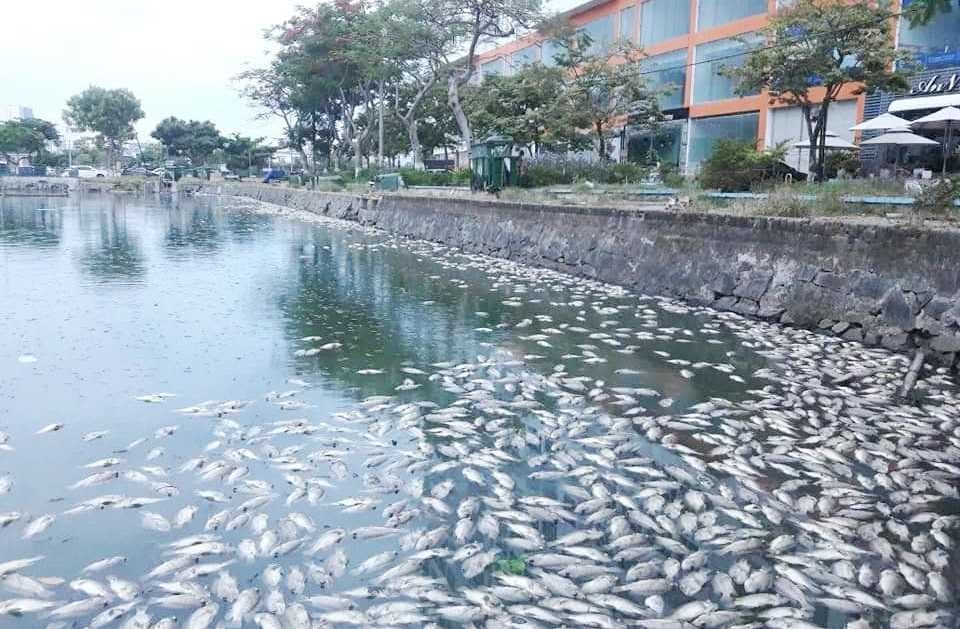 Những Sai Lầm Chết Người Khi Tự Ý Đổ Chất Thải Nguy Hại