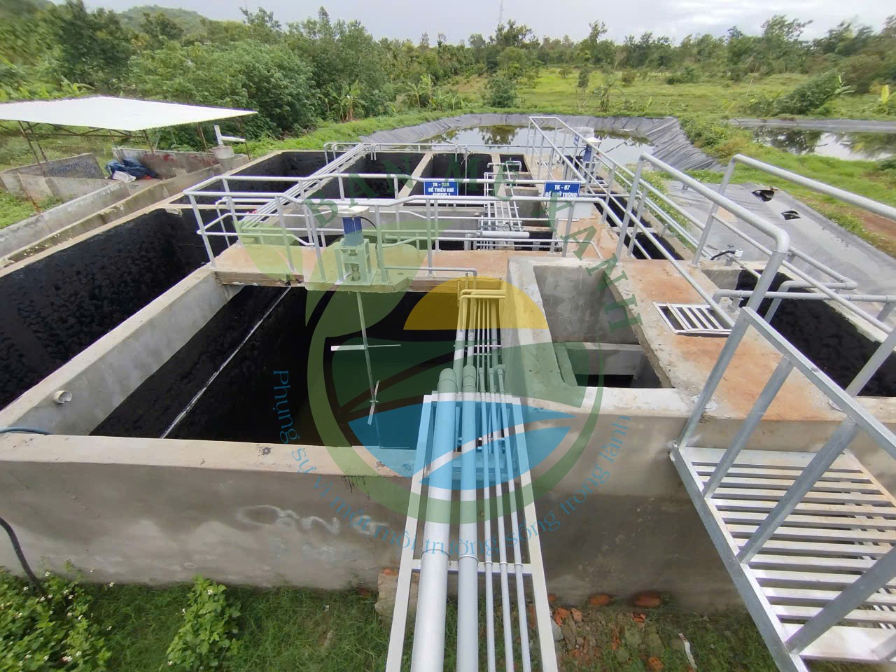 Xử Lý Nước Thải Chăn Nuôi Hiệu Quả – Giải Pháp Cần Thiết Cho Trang Trại Hiện Đại
