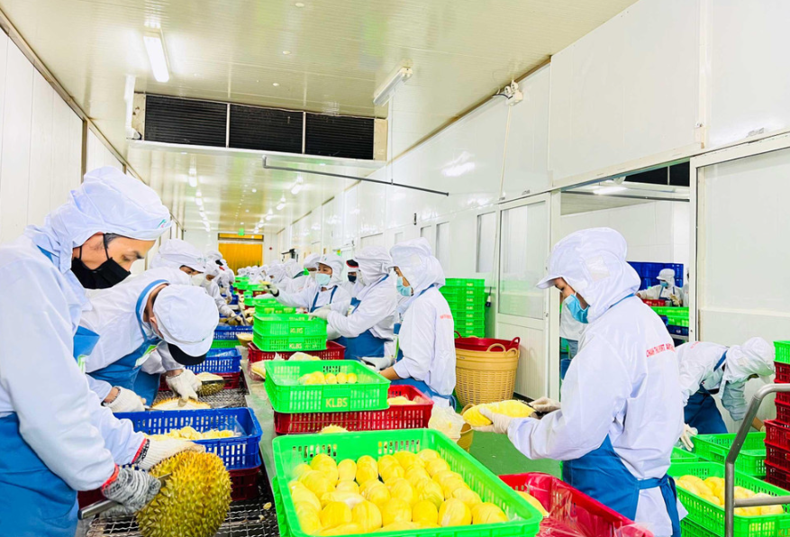 DỊCH VỤ XỬ LÝ NƯỚC SẠCH TỪ BAN MÊ XANH