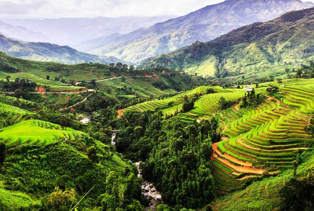 Hậu Quả Từ Việc Thải Nước Sinh Hoạt Trực Tiếp Ra Môi Trường Tại Tây Nguyên