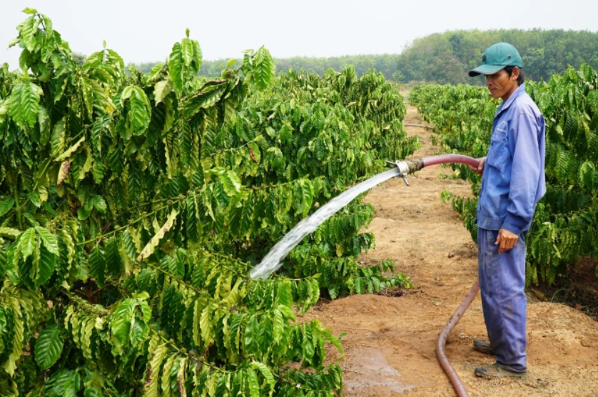 Hậu Quả Từ Việc Thải Nước Sinh Hoạt Trực Tiếp Ra Môi Trường Tại Tây Nguyên