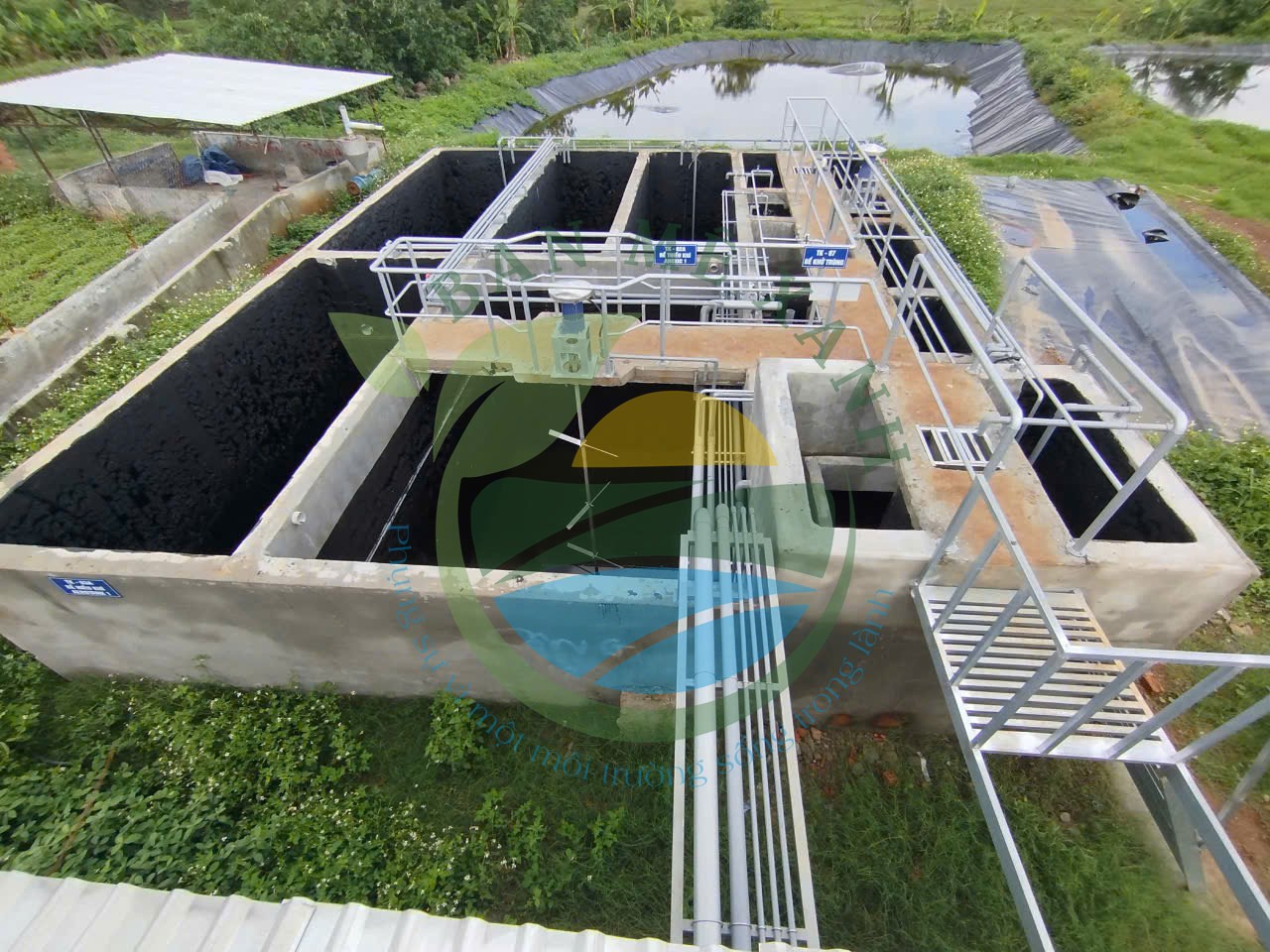 Xử Lý Nước Thải Chăn Nuôi Bò – Thách Thức Lớn Của Các Hộ Nông Dân Tây Nguyên