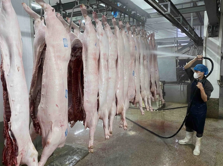 GIẢI PHÁP XỬ LÝ KHÍ THẢI CHO DOANH NGHIỆP TẠI TÂY NGUYÊN