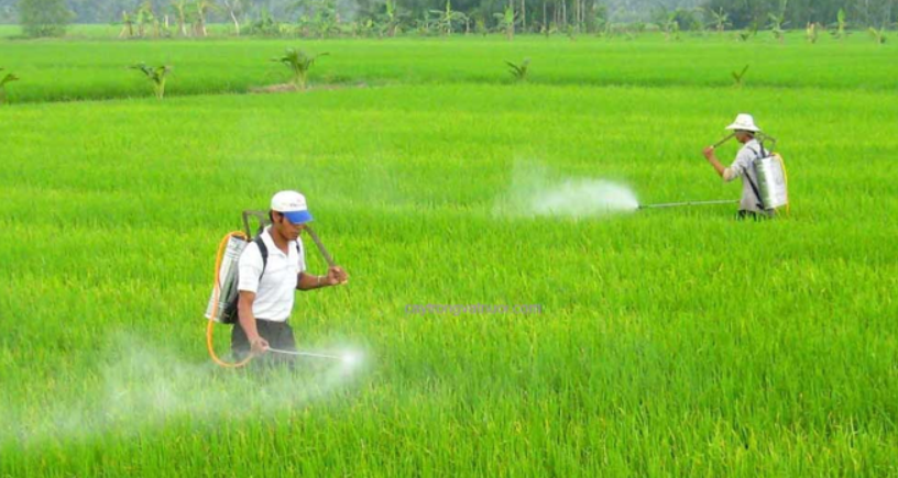 Cơ Sở Quy Định Luật Bảo Vệ Môi Trường Hiện Hành Về Xử Lý Vỏ Bao Bì