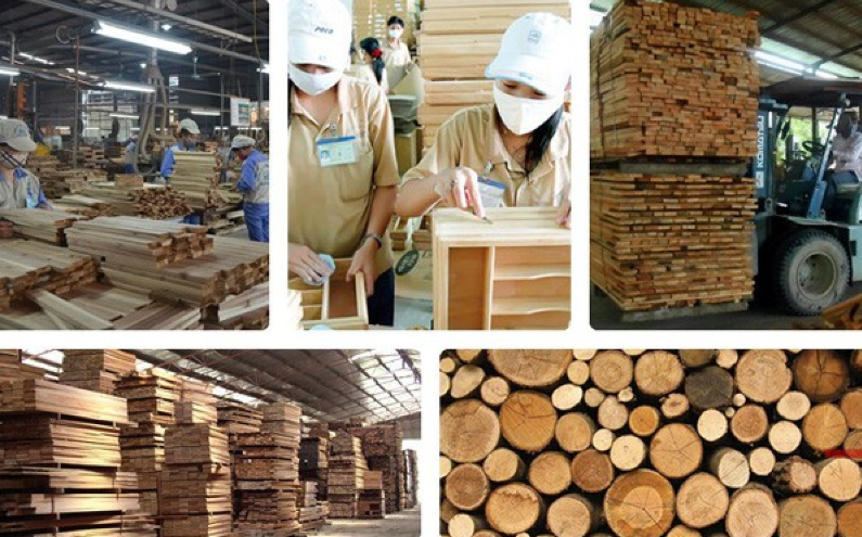 GIẢI PHÁP XỬ LÝ CHẤT THẢI CÔNG NGHIỆP THEO TỪNG NGÀNH NGHỀ TẠI TÂY NGUYÊN