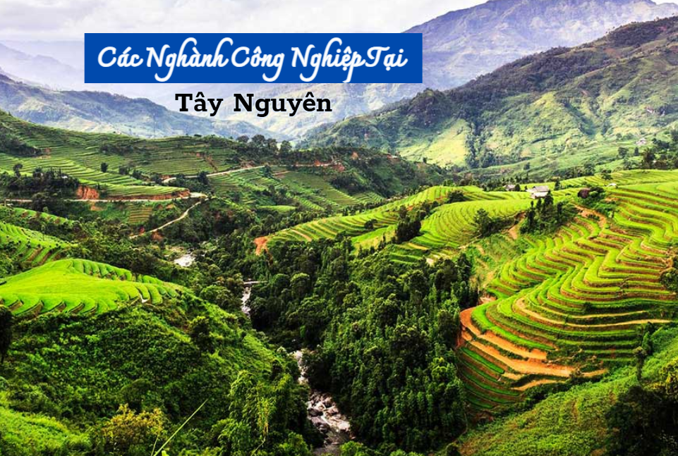 GIẢI PHÁP XỬ LÝ CHẤT THẢI CÔNG NGHIỆP THEO TỪNG NGÀNH NGHỀ TẠI TÂY NGUYÊN