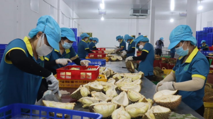 GIẢI PHÁP XỬ LÝ CHẤT THẢI CÔNG NGHIỆP THEO TỪNG NGÀNH NGHỀ TẠI TÂY NGUYÊN