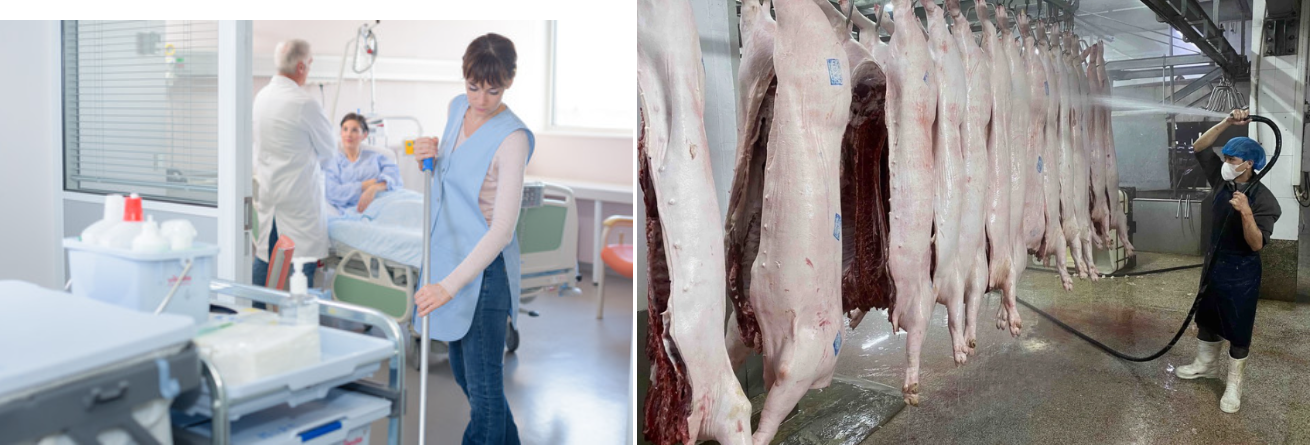 Giải Pháp Xử Lý Nước Thải Toàn Diện Của Ban Mê Xanh: Chìa Khóa Cho Phát Triển Bền Vững Tây Nguyên