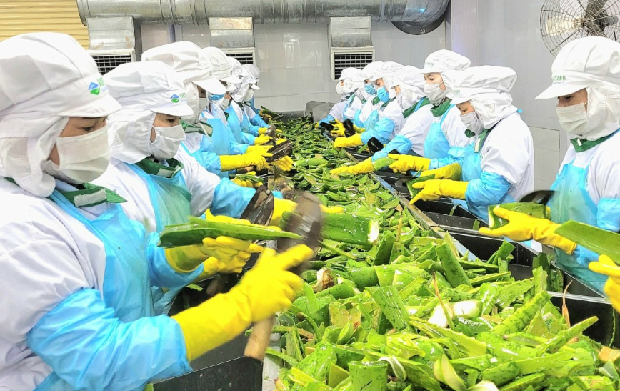 Rác Thải Rắn Công Nghiệp Tại Tây Nguyên – Nguy Cơ Tiềm Ẩn Và Giải Pháp Xanh Từ Ban Mê Xanh