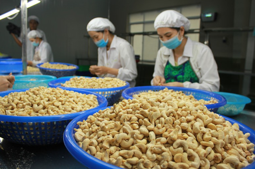 Sai Phạm Xử Lý Chất Thải Công Nghiệp Tại Tây Nguyên Dẫn Đến Gì?