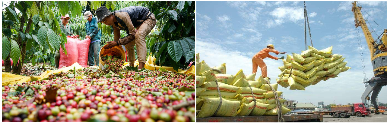Xử Lý Chất Thải Công Nghiệp Cho Doanh Nghiệp Tại Tây Nguyên