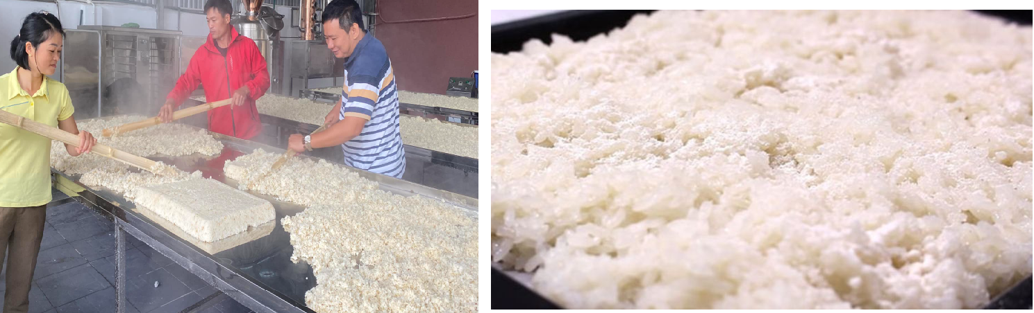 Xử Lý Nước Thải Sản Xuất Cồn, Rượu