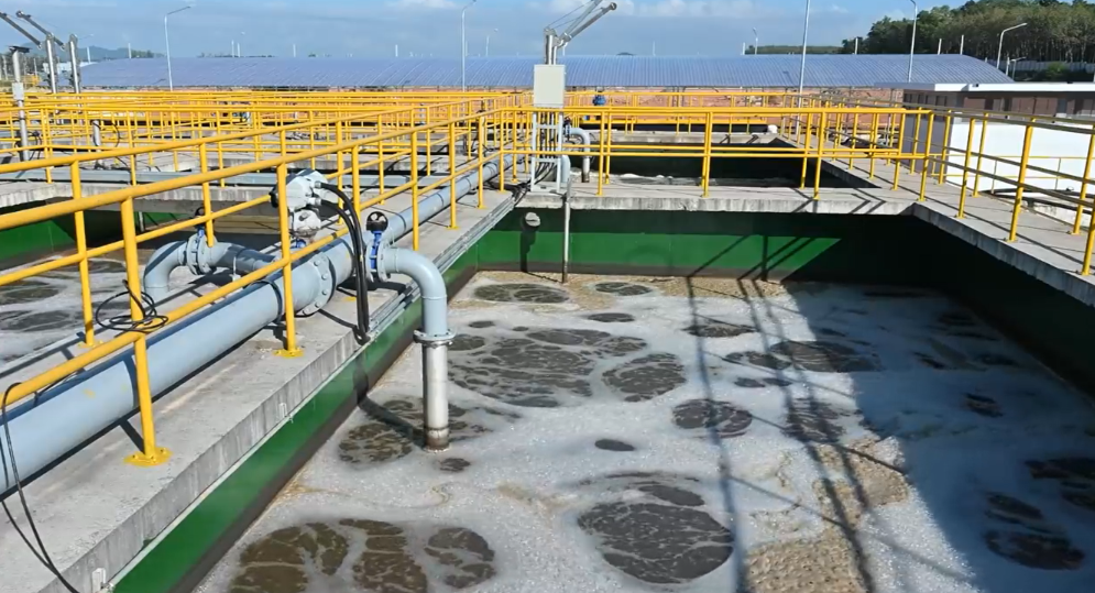 Hệ Thống Xử Lý Nước Thải Không Đạt QCVN – Doanh Nghiệp Cần Làm Gì Để Khắc Phục?