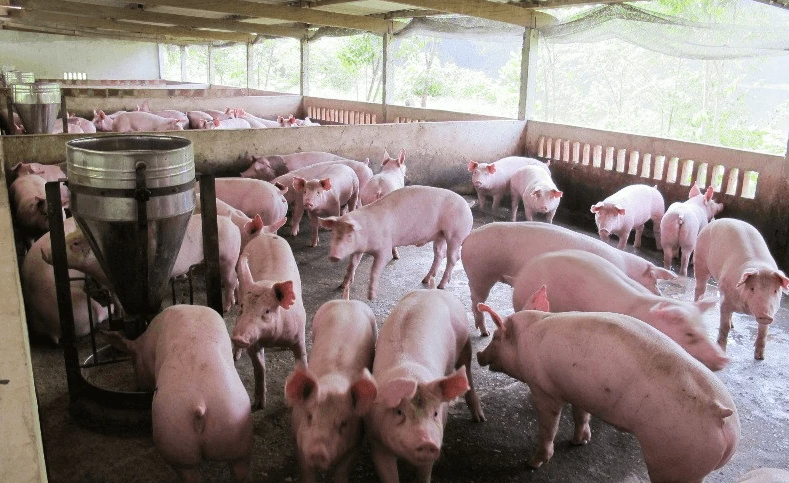 Ban Mê Xanh Tư Vấn Giải Pháp Xử Lý Nước Thải Tiết Kiệm Chi Phí