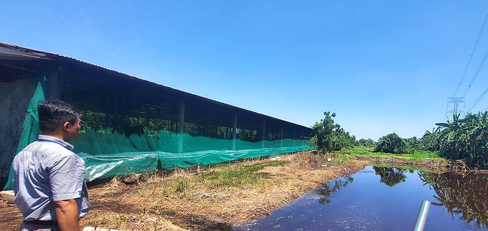 Ban Mê Xanh Tư Vấn Giải Pháp Xử Lý Nước Thải Tiết Kiệm Chi Phí