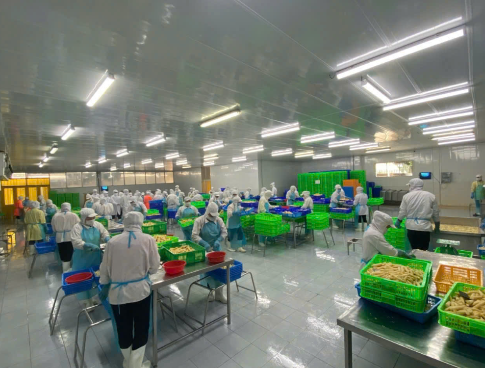 Doanh Nghiệp Cần Chuẩn Bị Gì Để Xây Dựng Hệ Thống Xử Lý Nước Thải Đạt Chuẩn?