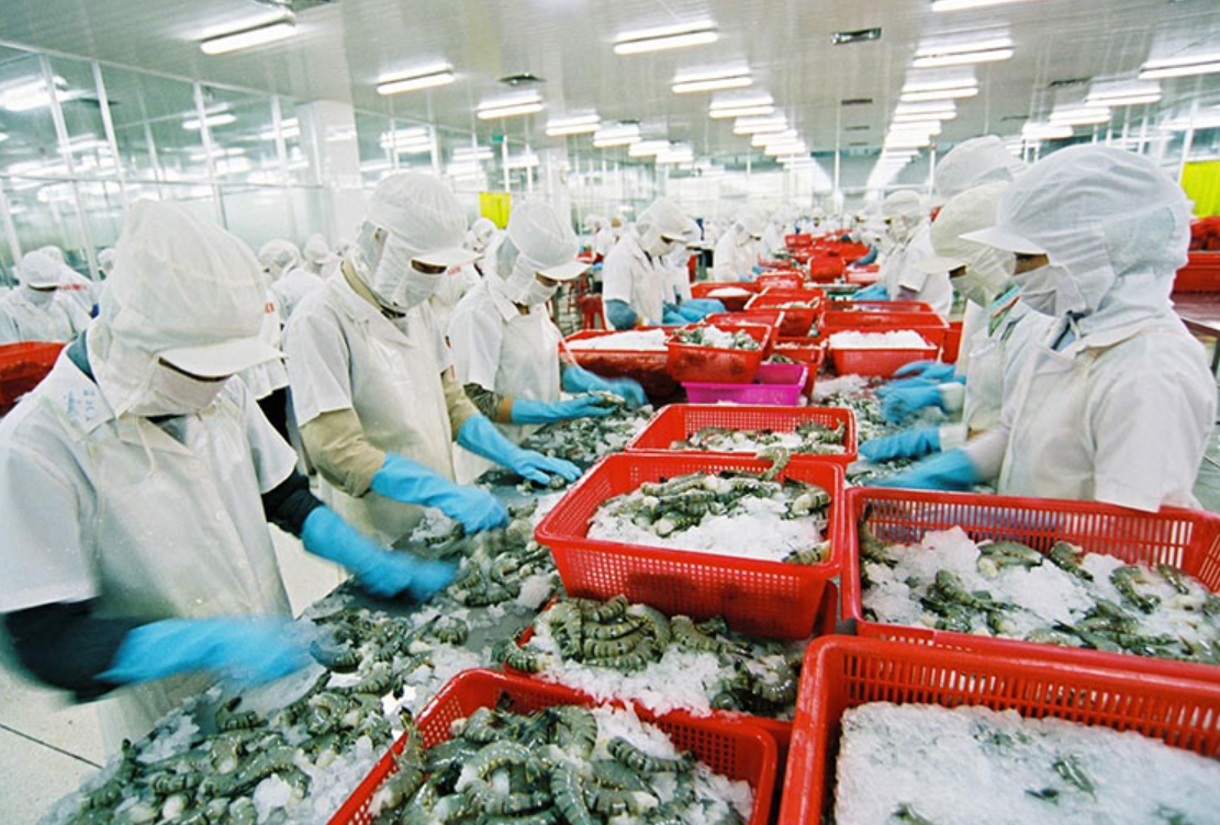 Doanh Nghiệp Cần Chuẩn Bị Gì Để Xây Dựng Hệ Thống Xử Lý Nước Thải Đạt Chuẩn?