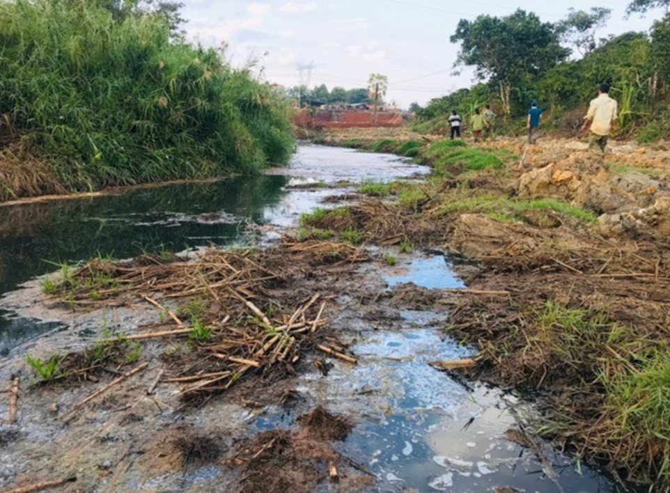 Hậu Quả Khi Không Xử Lý Nước Thải Chăn Nuôi Đúng Cách Tại Tây Nguyên