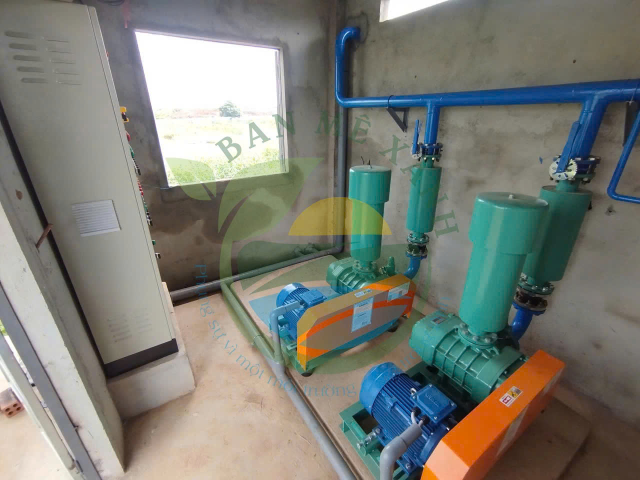 Hậu Quả Khi Không Xử Lý Nước Thải Chăn Nuôi Đúng Cách Tại Tây Nguyên