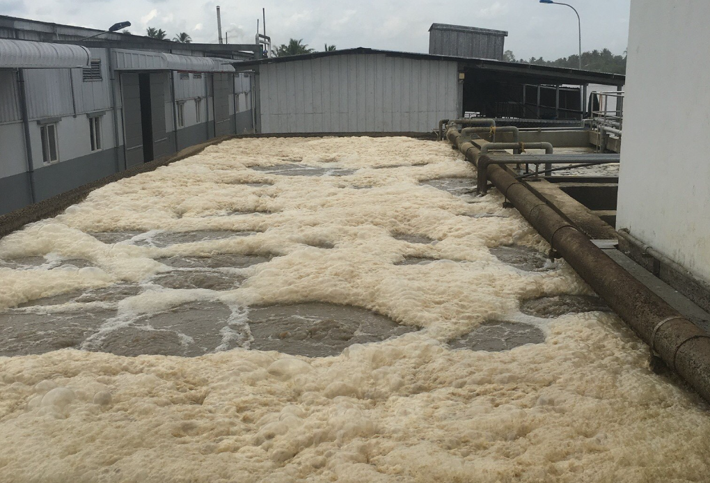 Lợi Ích Khi Chọn Ban Mê Xanh Làm Đối Tác Nâng Cấp Hệ Thống Xử Lý Nước Thải Tại Tây Nguyên