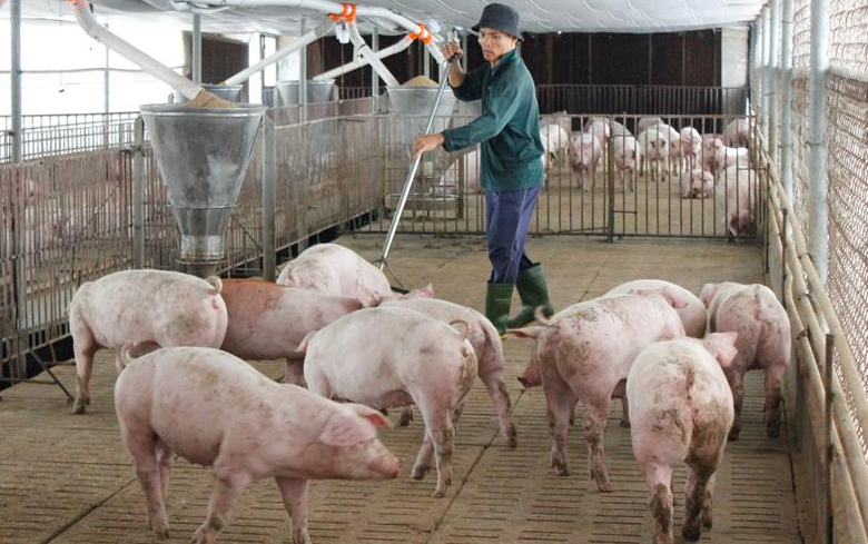 Nguyên Nhân Nào Khiến Hệ Thống Xử Lý Nước Thải Của Doanh Nghiệp Không Đạt QCVN?