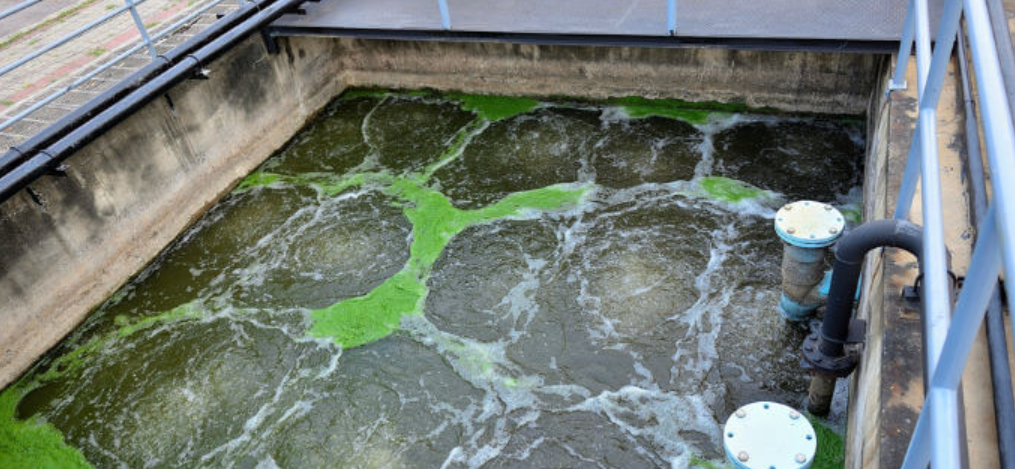 Phương Án Nào Xử Lý Khi Hệ Thống Xử Lý Nước Thải Bị Quá Tải Tại Tây Nguyên?