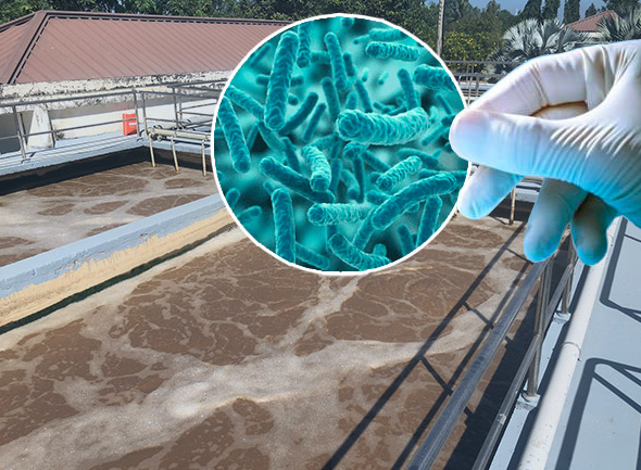 Phương Án Nào Xử Lý Khi Hệ Thống Xử Lý Nước Thải Bị Quá Tải Tại Tây Nguyên?