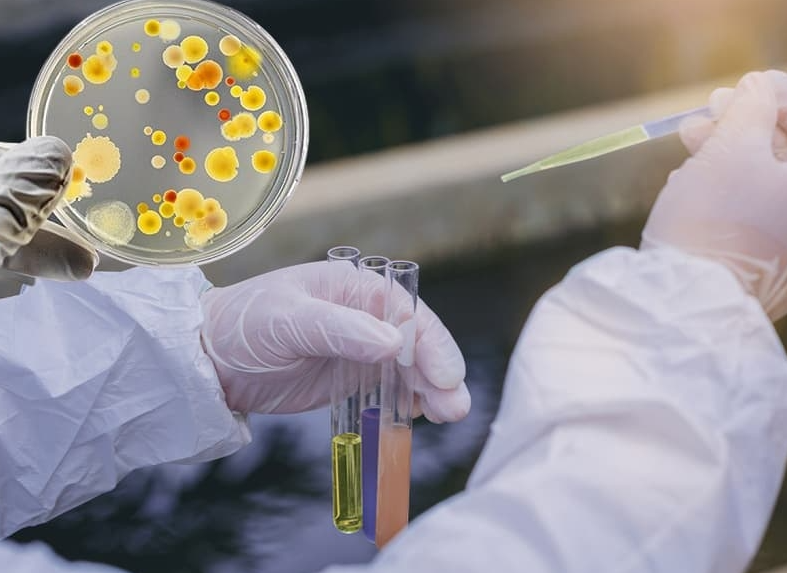 Vì Sao Bùn Vi Sinh Trong Hệ Thống Xử Lý Nước Thải Bị Chết Và Giải Pháp Khắc Phục