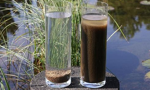 Vì Sao Bùn Vi Sinh Trong Hệ Thống Xử Lý Nước Thải Bị Chết Và Giải Pháp Khắc Phục