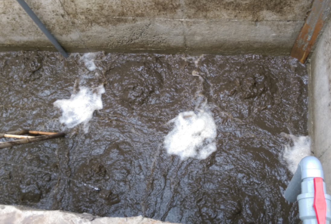 Vì Sao Bùn Vi Sinh Trong Hệ Thống Xử Lý Nước Thải Bị Chết Và Giải Pháp Khắc Phục